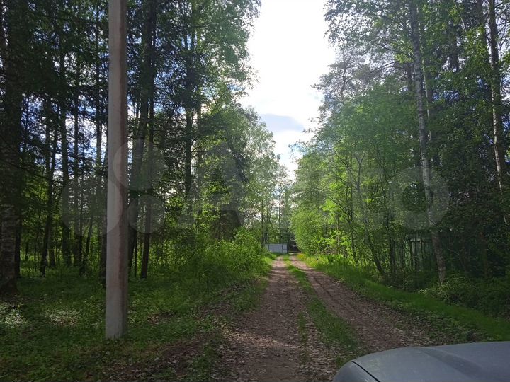 Участок 15,9 сот. (ИЖС)