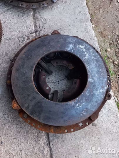 Сцепление д 245