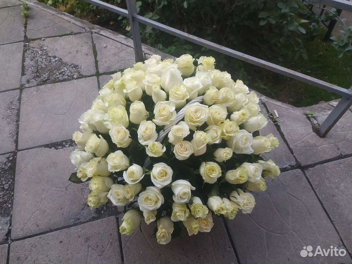 Корзина белых роз, 101 роза в корзине