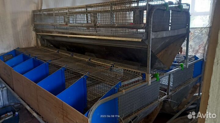 Кролячая ферма