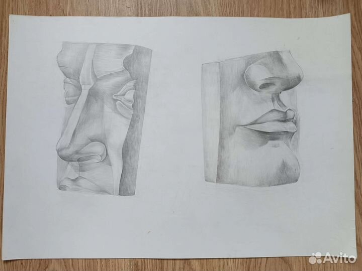 Академический рисунок. Части лица Давида