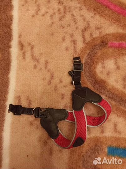 Шлейка для мелких пород собак