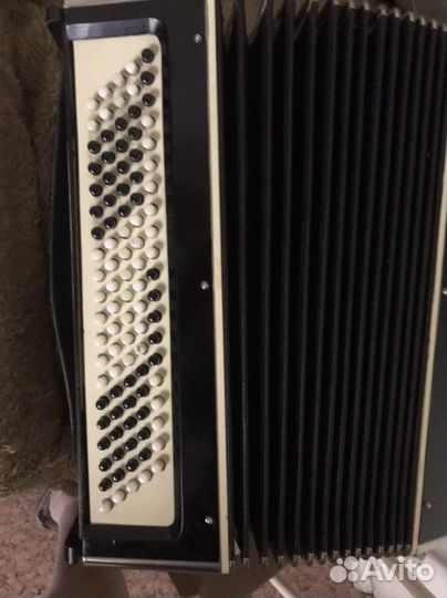 Гармонь Ленинград