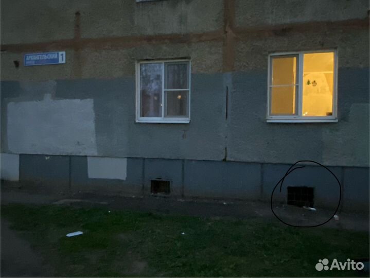 Кошка и котята