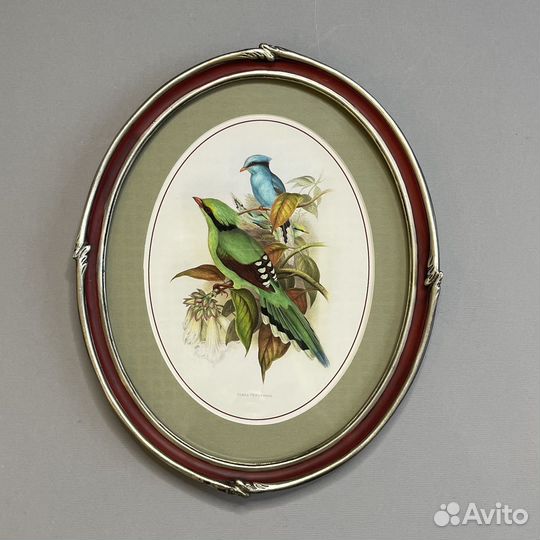 Картина в овальной раме