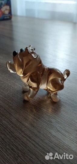 Собака стекло