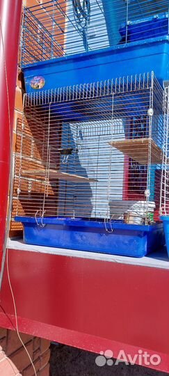 Клетка для грызунов большая
