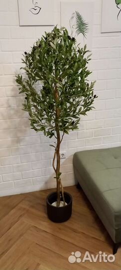 Искусственная олива искусственное дерево
