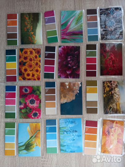Карточки Цветы, изуч.цветов и их сочетаний