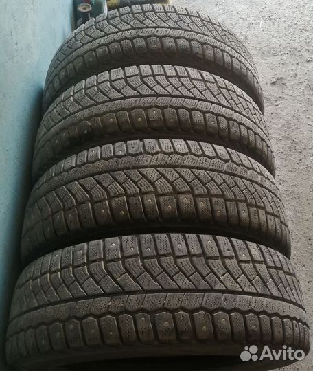 Viatti Bosco Nordico V-523 195/65 R15