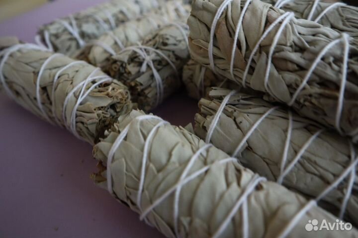 Шалфей Белый от 150шт опт для маркетплейса