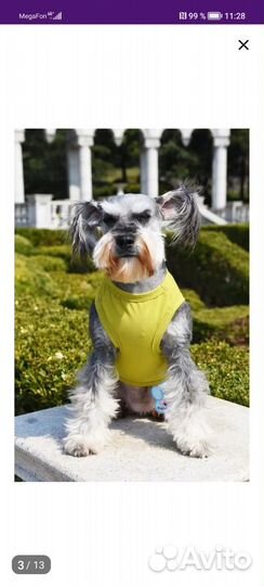 Майка для животного