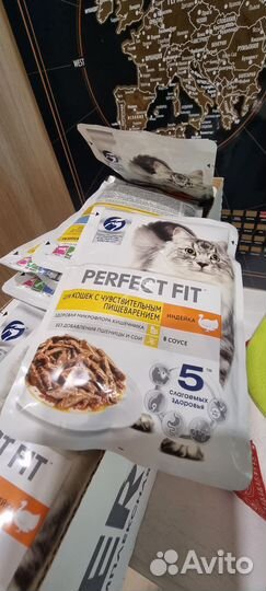 Корм для кошек