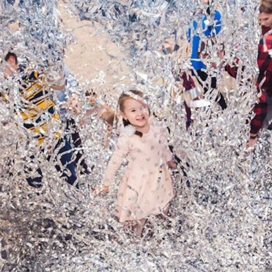 Аниматоры, На День рождения, Ведущие