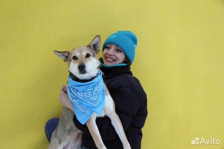 Ласковая молодая Кетрин просится домой,спасите ее