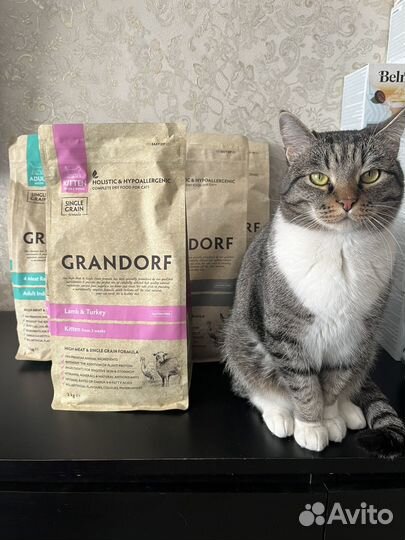 Сухой корм для кошек Grandorf для котят