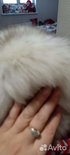 Шапка мех натуральный