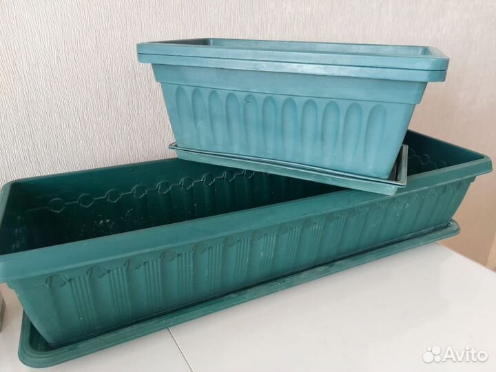 Ящик для рассады