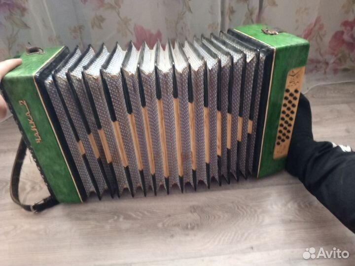 Гармонь чайка 2