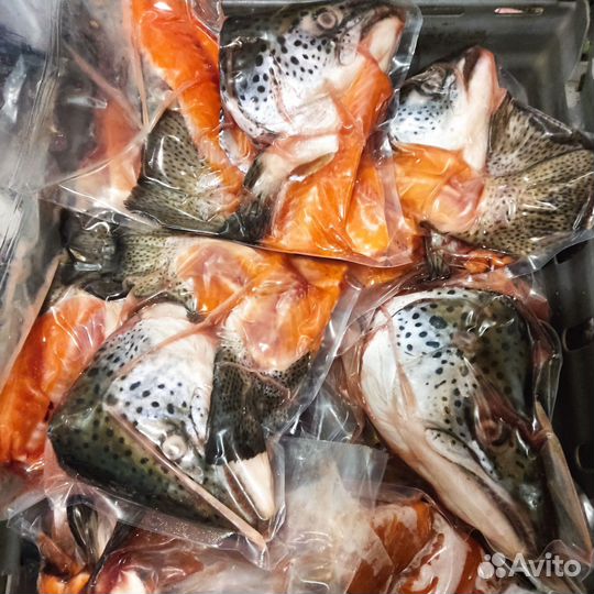 Суп набор из Сёмги и Форели