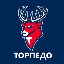 Торпедо Ак Барс Билеты 09.2024