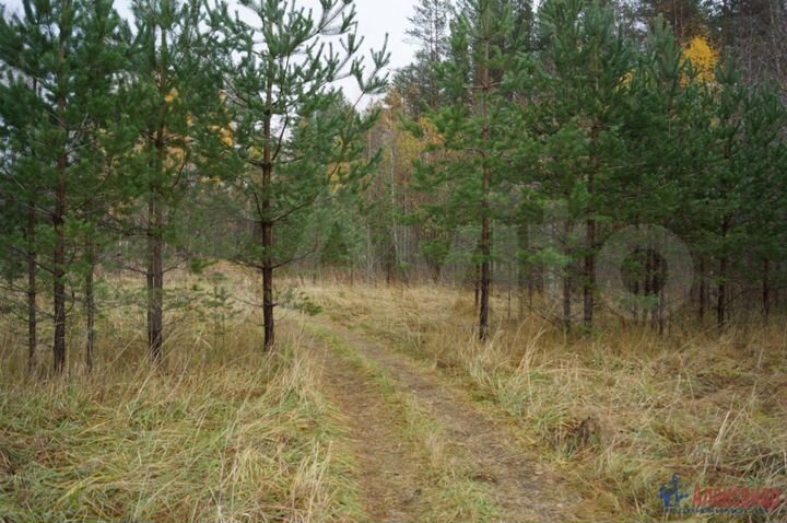 Участок 2,6 га (СНТ, ДНП)
