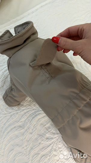 Одежда для маленьких собак