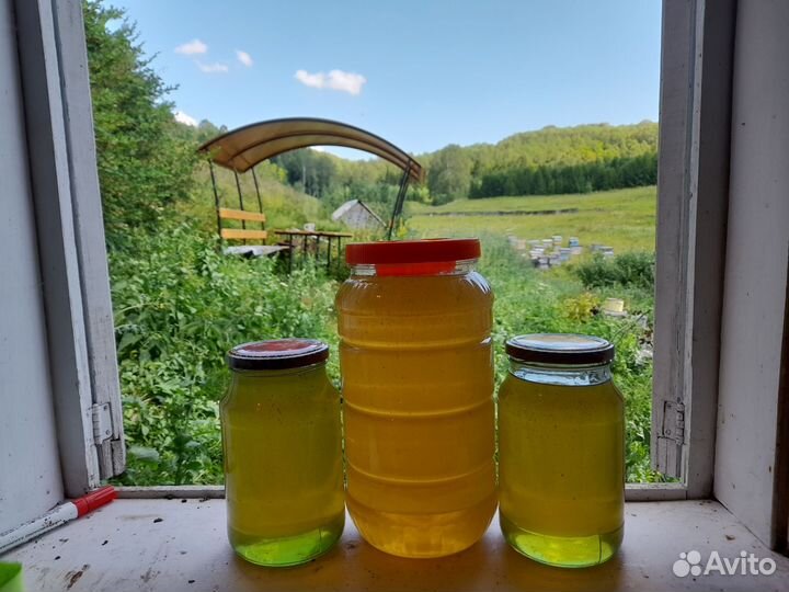Свежий мёд