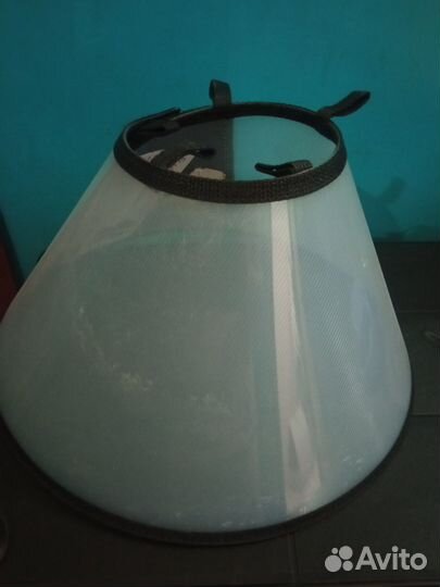 Защитный воротник для собак