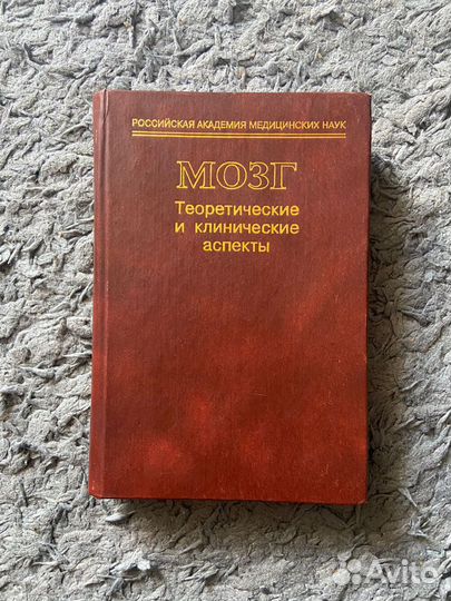 Мозг. Теоретические и клинические аспект
