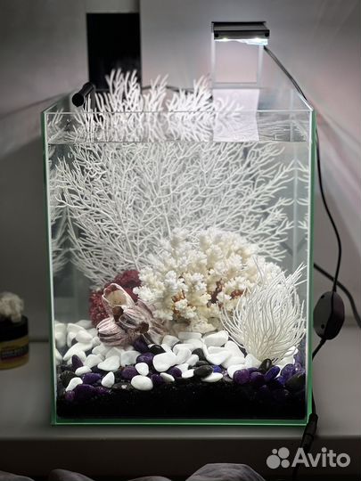 Аквариум с оборудованием и декором