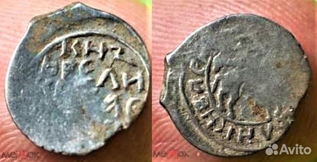 Чешуя удельная Сокольник Василия Дмитриевича