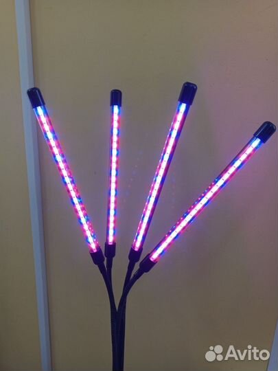 Фитолампа для растений