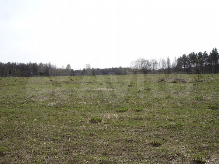 Участок 5,8 га (ИЖС)