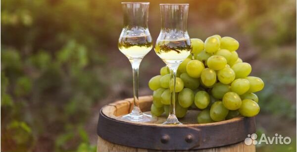 Alcotec Georgian Chaha - Эссенция Грузинская Чача