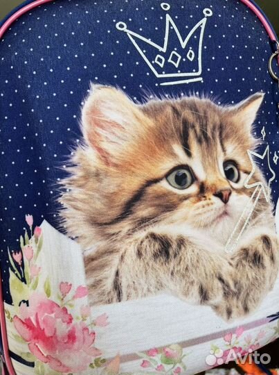 Школьный рюкзак berlingo