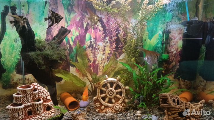 Аквариум с тумбой 125 л