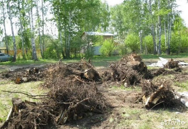 Расчистка выравнивание участка