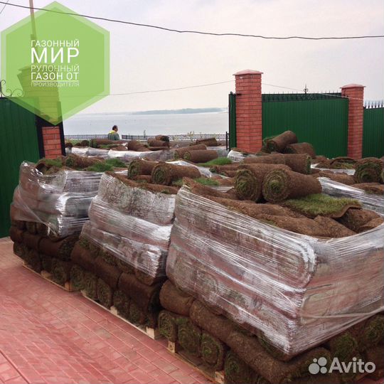 Рулонный газон