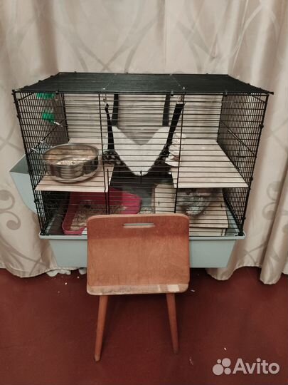 Клетка для шиншиллы и всё необходимое бу