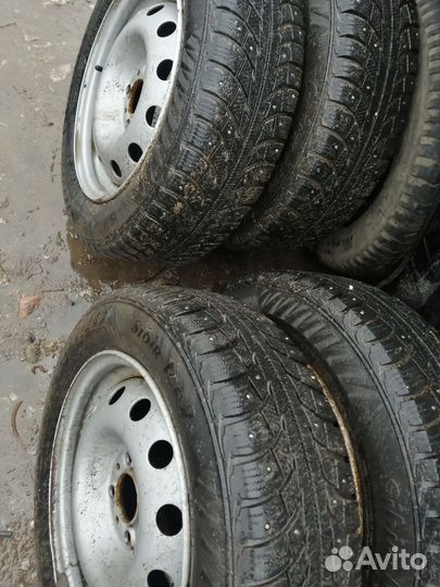Matador MP 50 Sibir Ice 2 175/65 R14