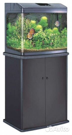 Аквариум с рыбками