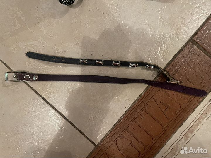 Одежда для собак пакетом