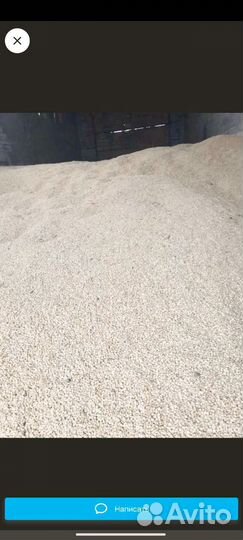 Белая кукуруза