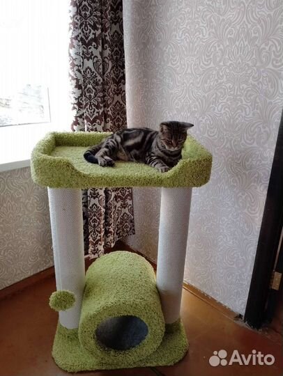 Когтеточка с домиком