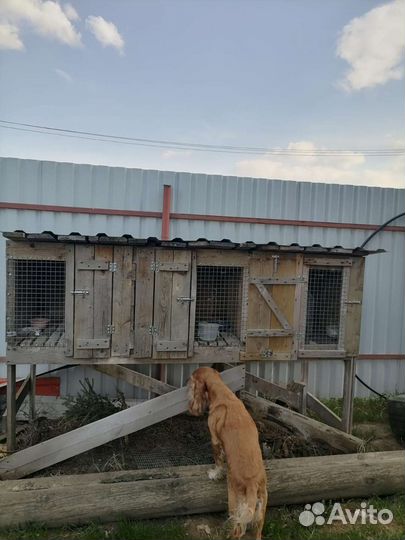 Клетка для кроликов