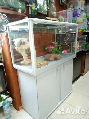 Террариумы в наличии и под заказ