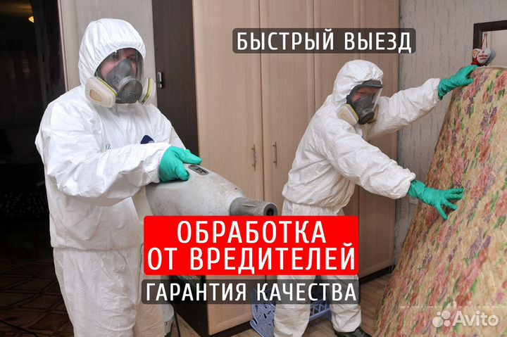 Уничтожение клопов травля тараканов дезинфекция