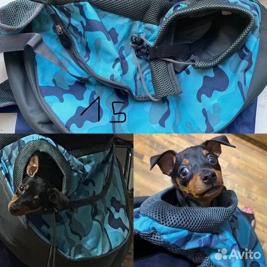 Сумка-переноска открытая для собак