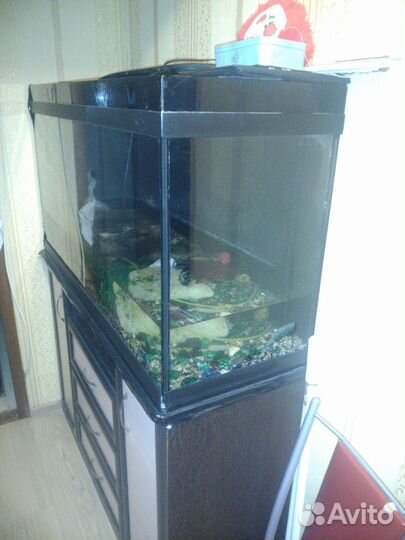 Аквариум 300 литров
